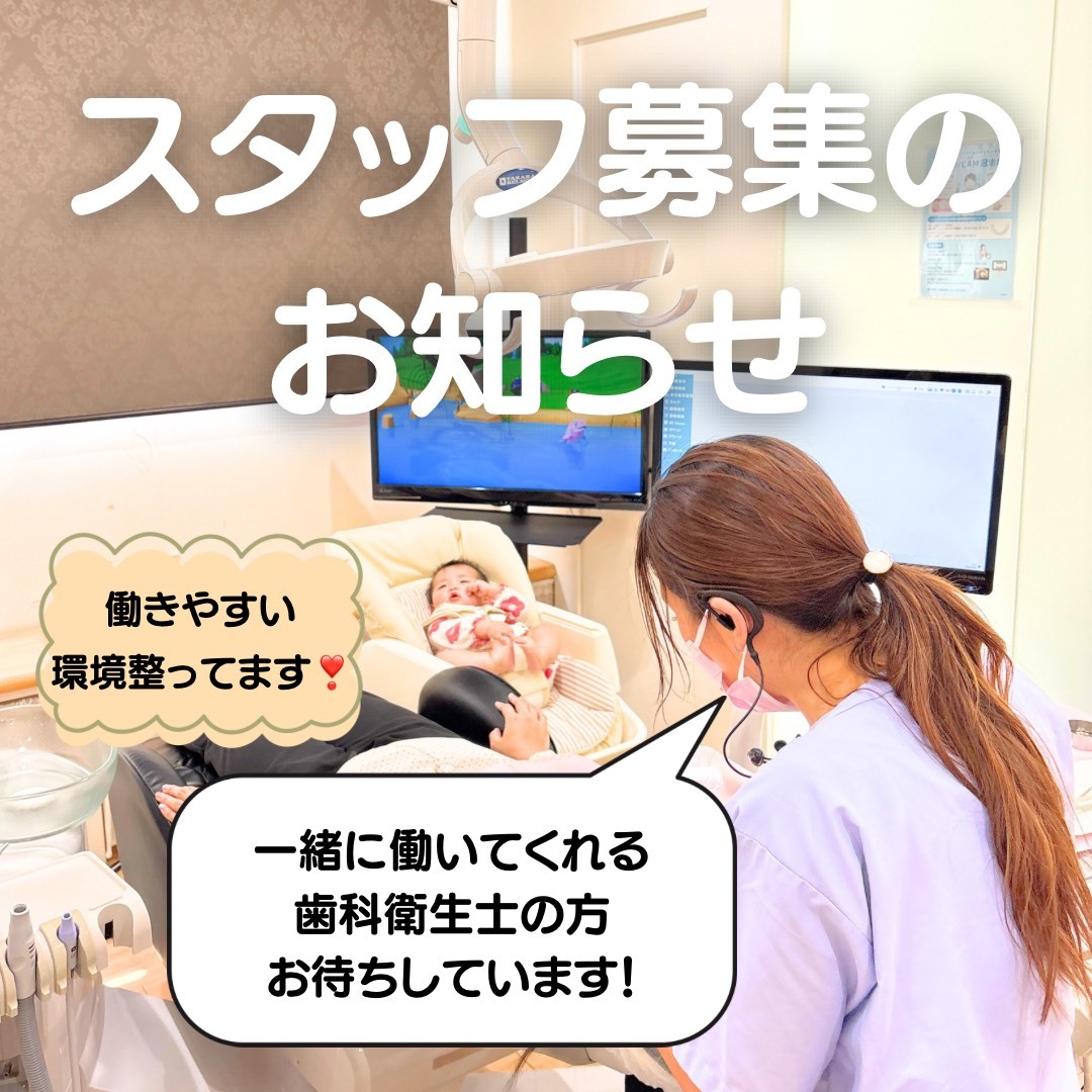 スタッフ募集の お知らせ - 1